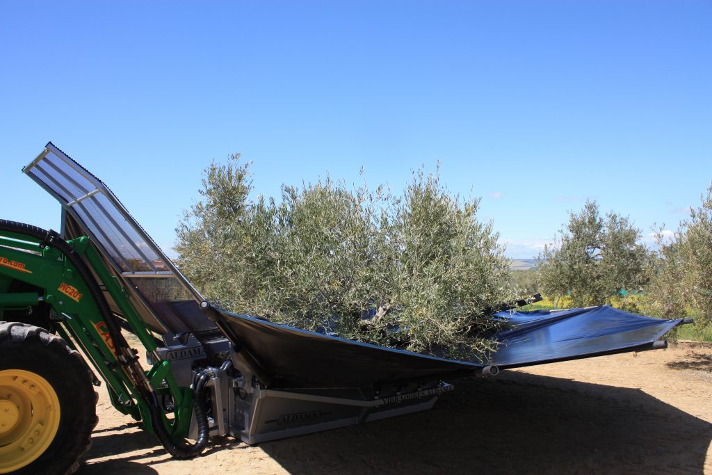 Vareado a altura media 1